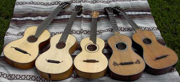 5 ERG Collection