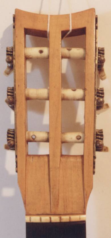 Arthur Robb Panormo Headstock